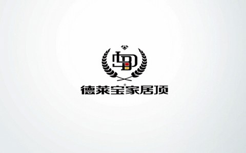 德莱宝产品代言视频